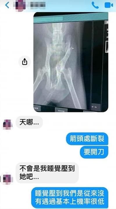 L小姐發現當初送養的幼貓異常虛弱,帶至寵物醫院就醫,發現該幼貓傷勢相當嚴重。(讀者提供)