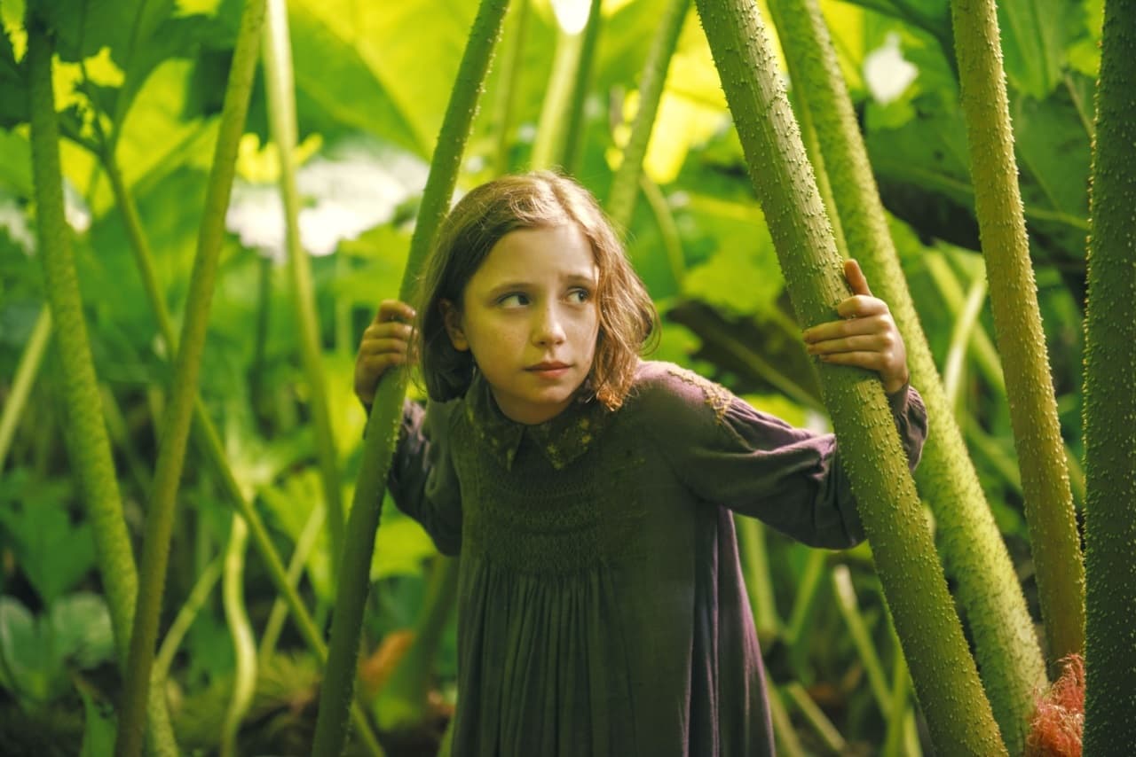 《秘密花園》透過小孩的眼光尋求療傷與救贖的過程。(車庫娛樂)