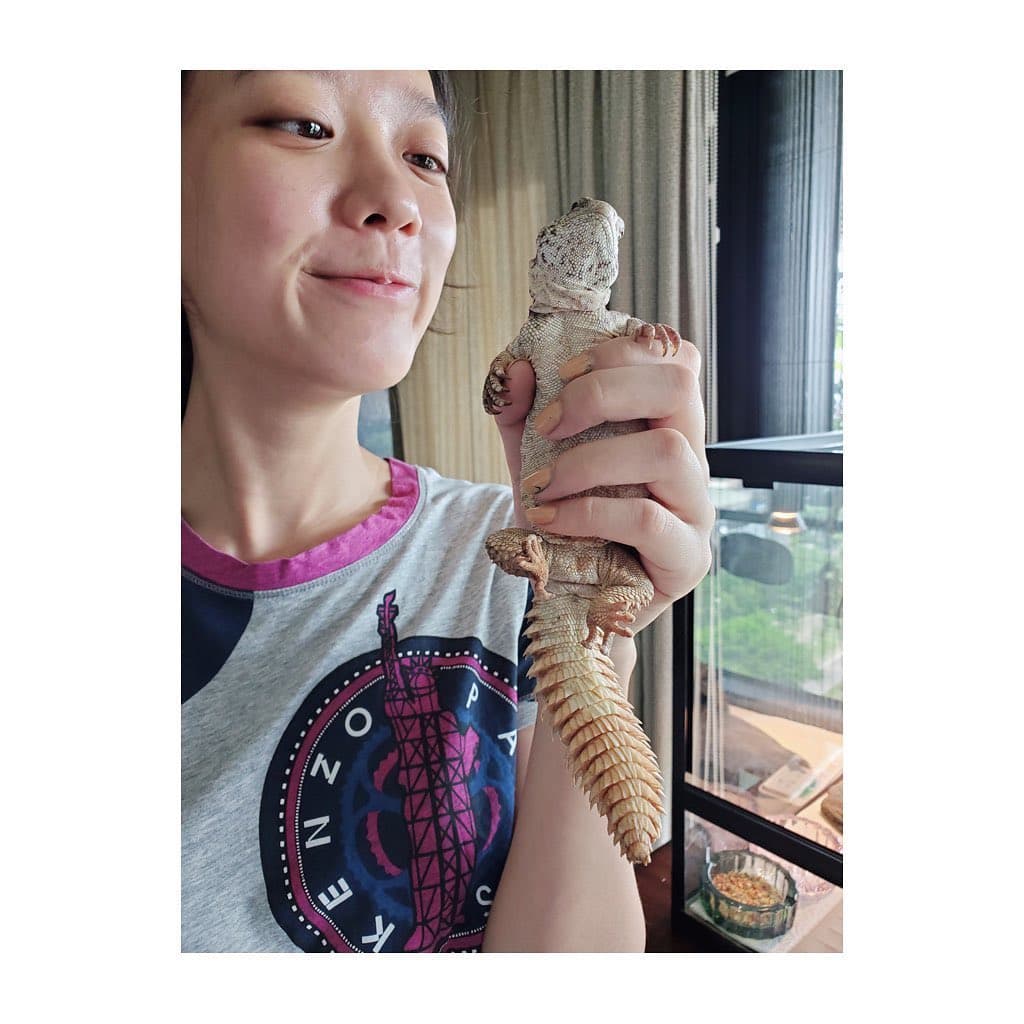 孟耿如為了愛寵守宮與蜥蜴特地買蟑螂等活體昆蟲親餵。(翻攝自孟耿如臉書)