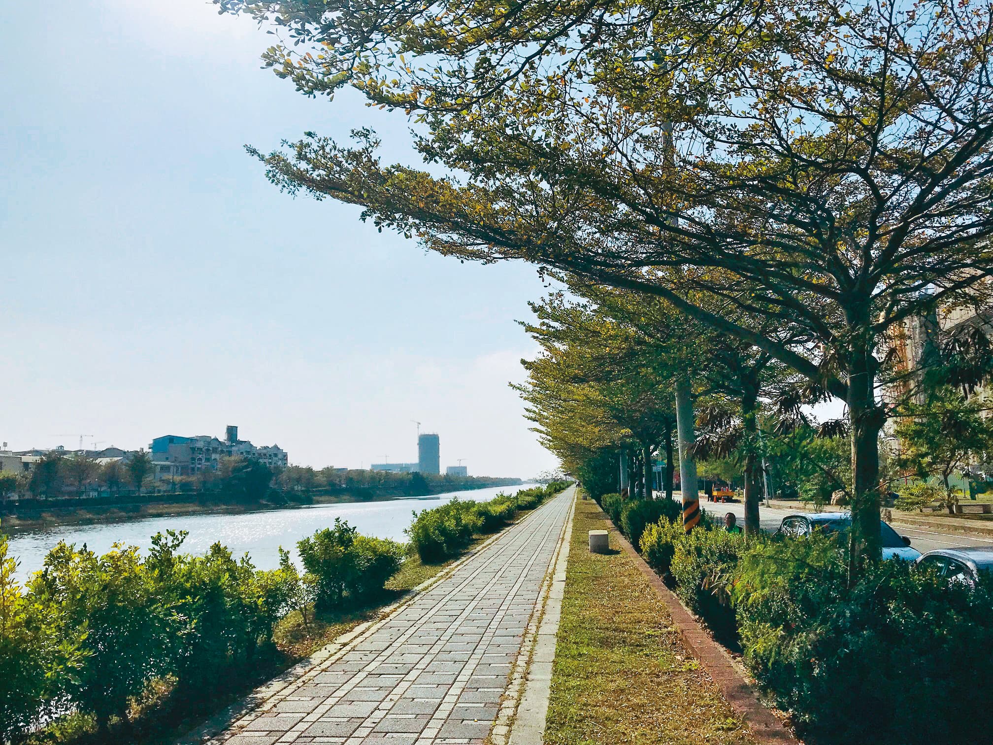 學甲區174 線公路段的小葉欖仁,每每到了春天就會形成近1 公里長的翠綠隧道。(臺南市政府觀光旅遊局提供)