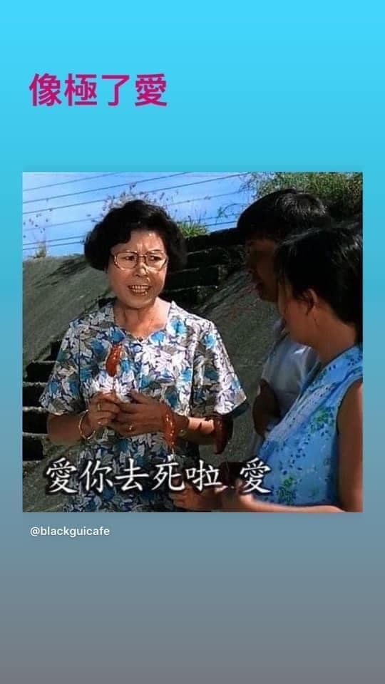 你受夠「像極了愛情」了嗎?貼這張「愛哩去死啦愛」迷因哏圖吧!這圖有文英阿姨的聲音。(翻攝自0.5mm插畫臉書)