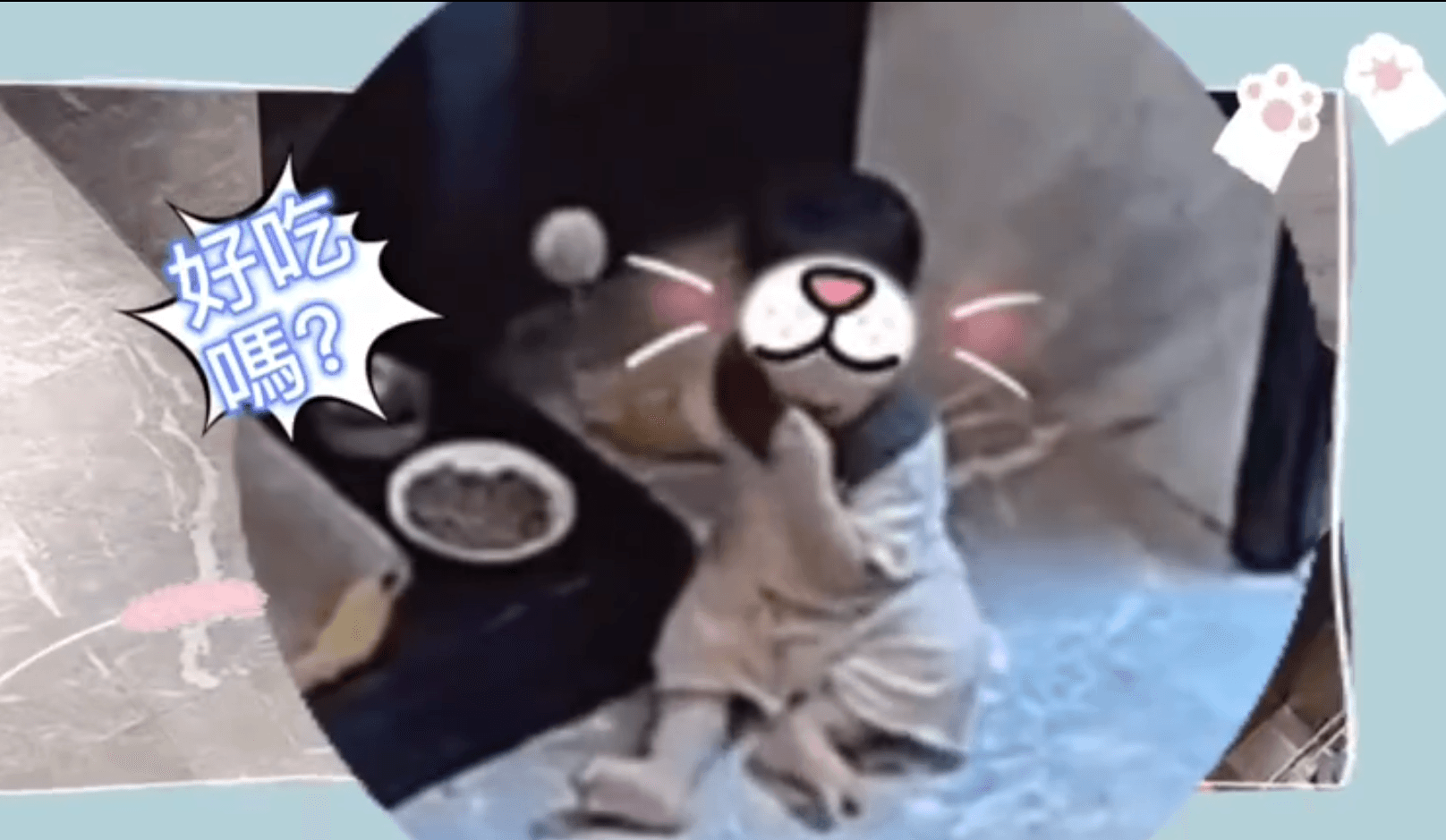 安以軒剛滿週歲的兒子在爸爸不注意下竟誤食貓糧。(翻攝安以軒微博)