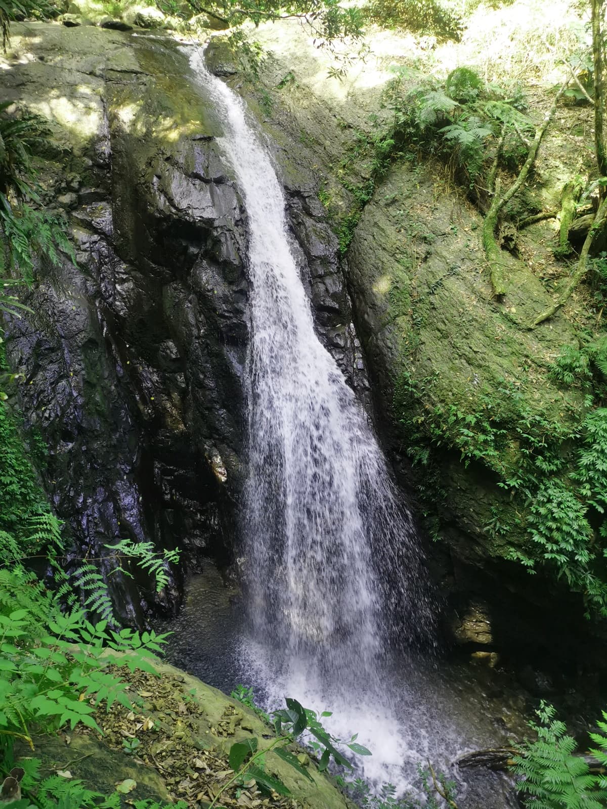 森山瀑布瀑型不高,水流較為湍急。