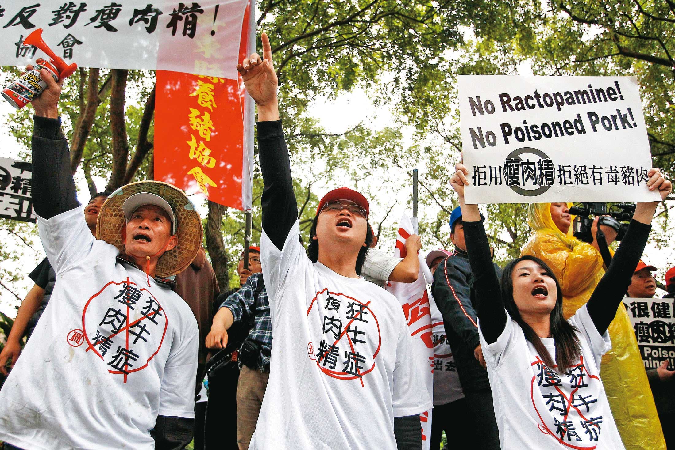 我國政府過去只要觸及開放美豬議題,就會引發大規模豬農抗爭。(達志影像)