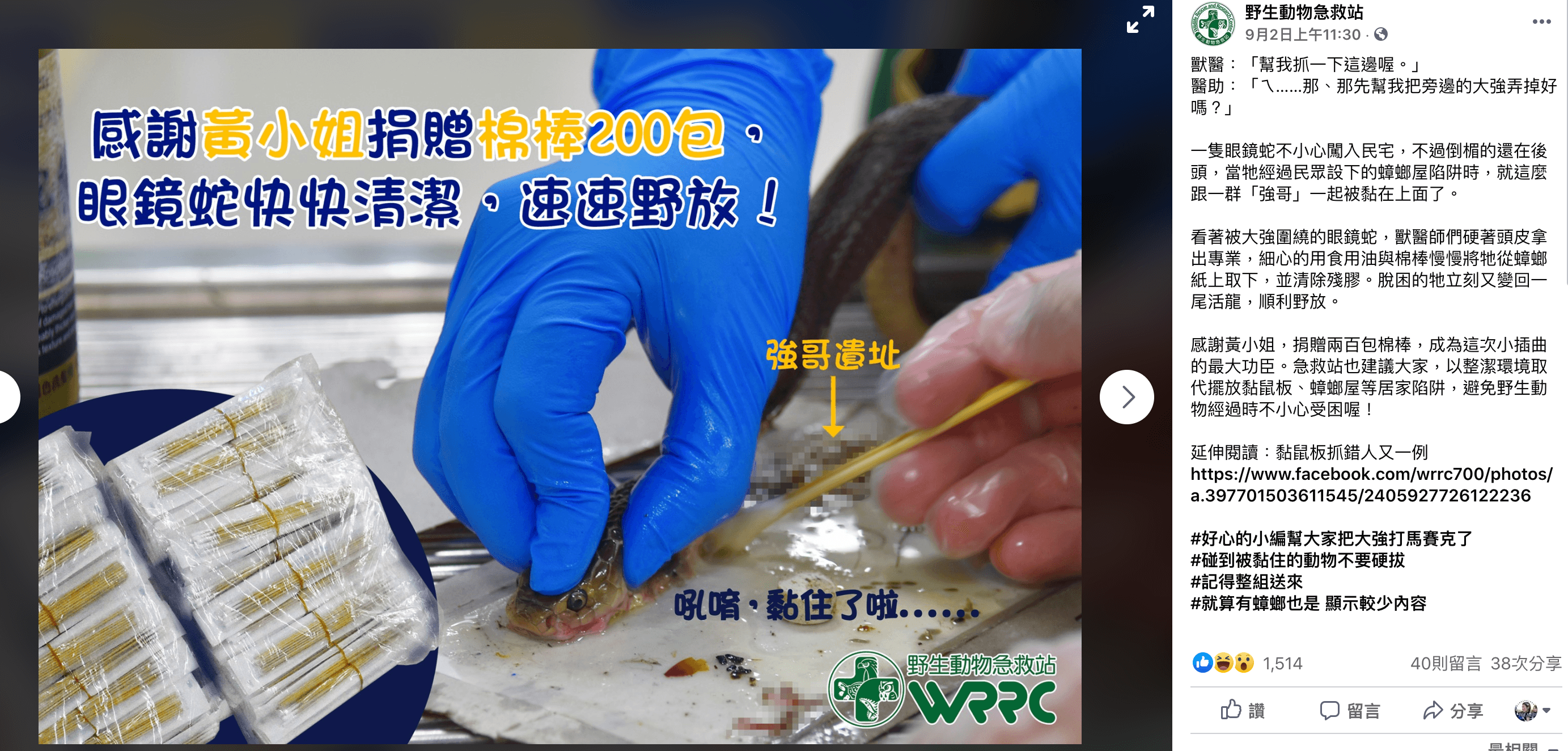 《野生動物急救站》po文表示有眼鏡蛇誤入蟑螂屋被黏死,經過一番工夫終於順利解救。(圖截自《野生動物急救站》臉書)