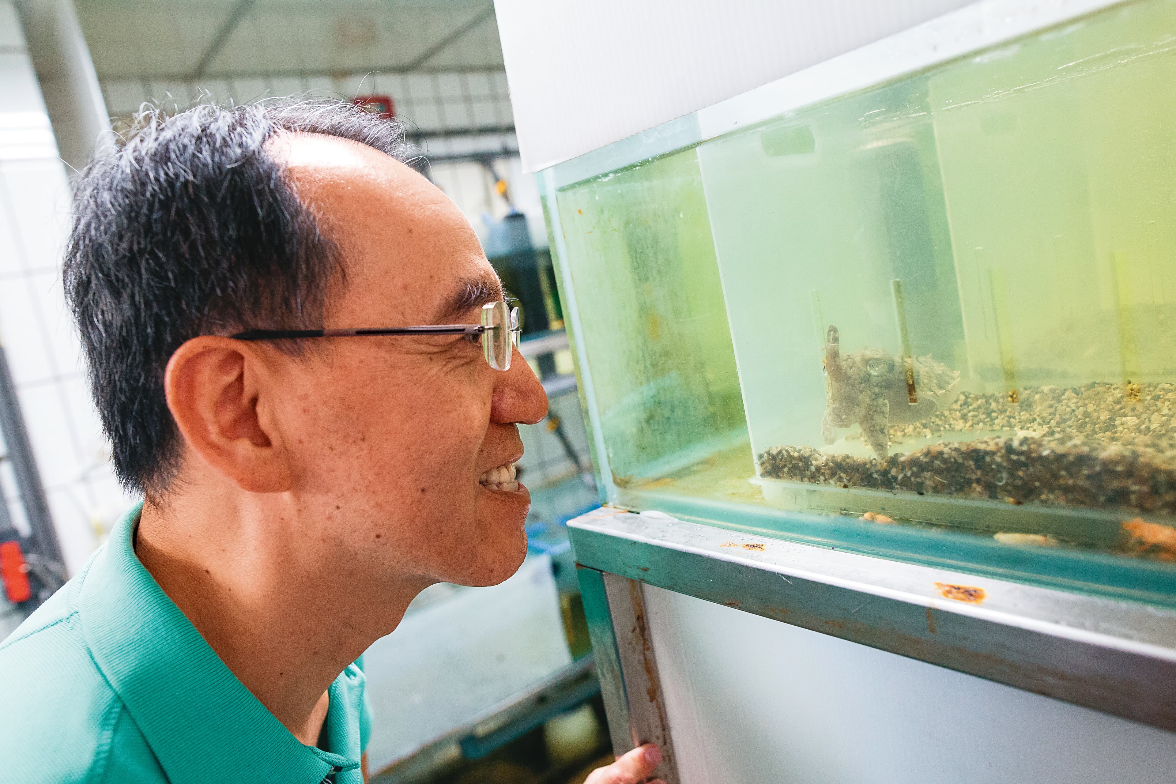 焦傳金談起烏賊總是眉飛色舞、一臉沉醉,宛如烏賊是全世界最可愛迷人的生物。