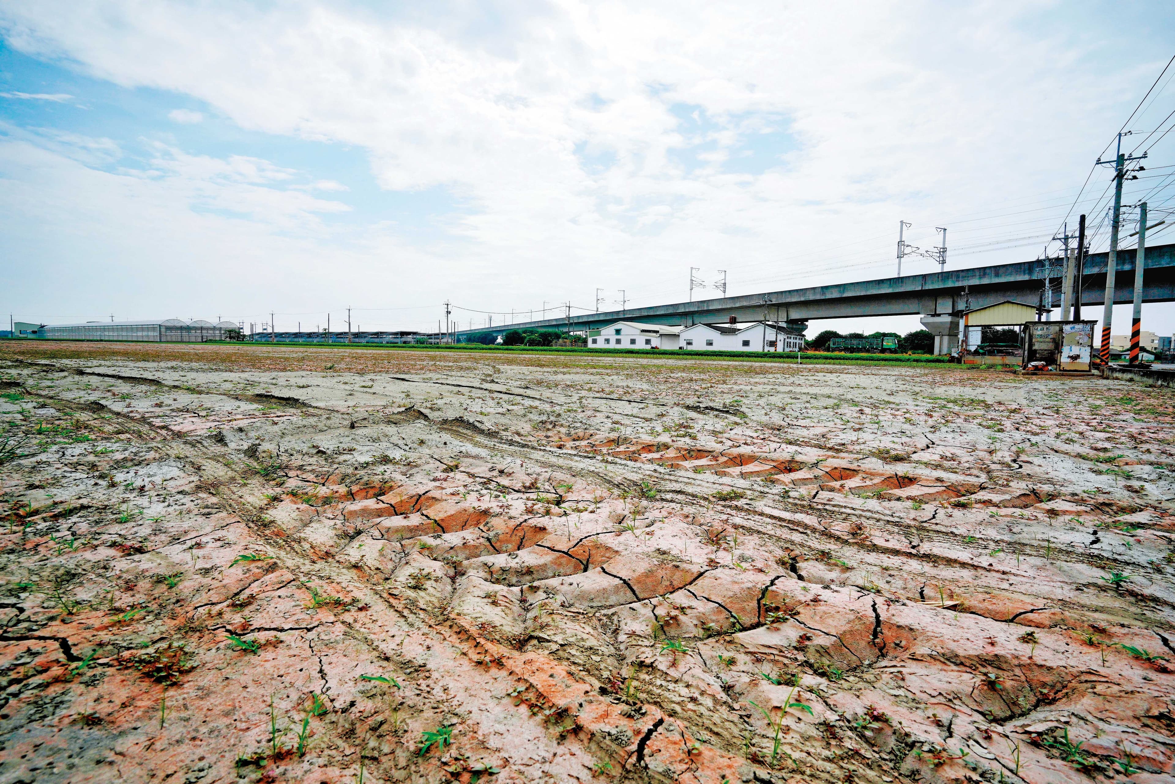 官方決定釋出2萬公頃的廢耕農地,讓廠商種電,台灣太陽能產業等於再注入一劑強心針。