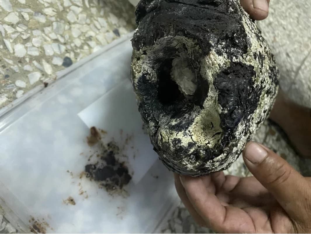 釣魚民眾在海邊拾得的怪石,經鑑定為龍涎香真品。(翻攝畫面)