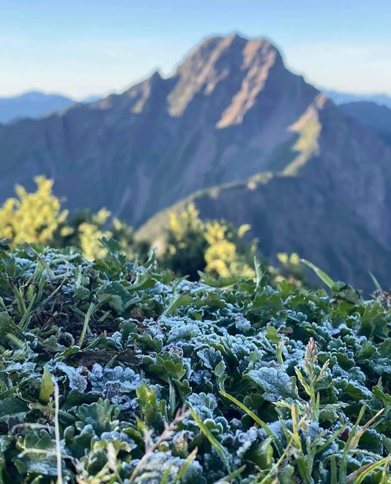 寒露到,玉山北峰結霜了。(翻攝自鄭明典臉書,玉山氣象站李正紀提供)