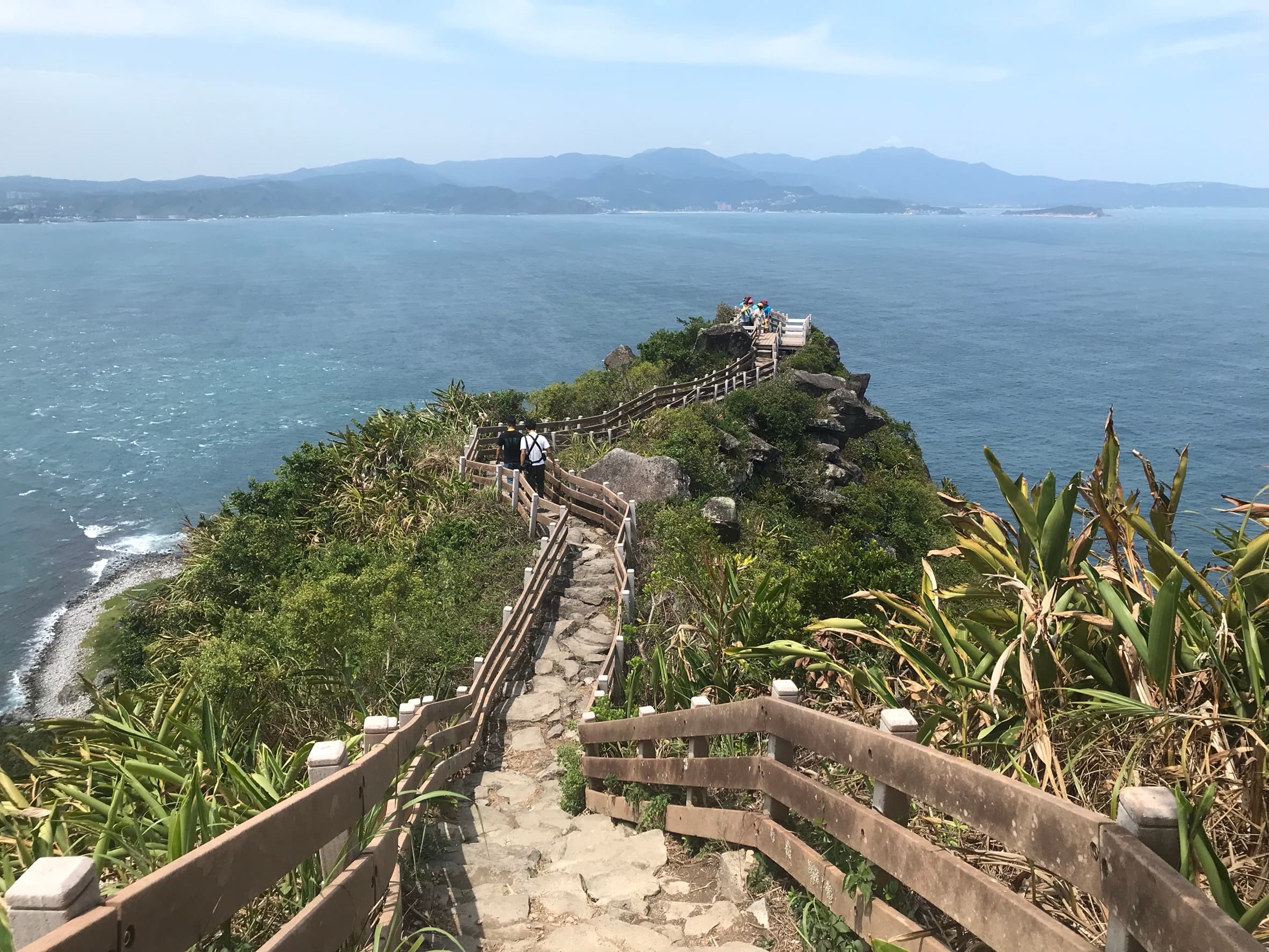 木棧道沿途,可觀賞植被生態。