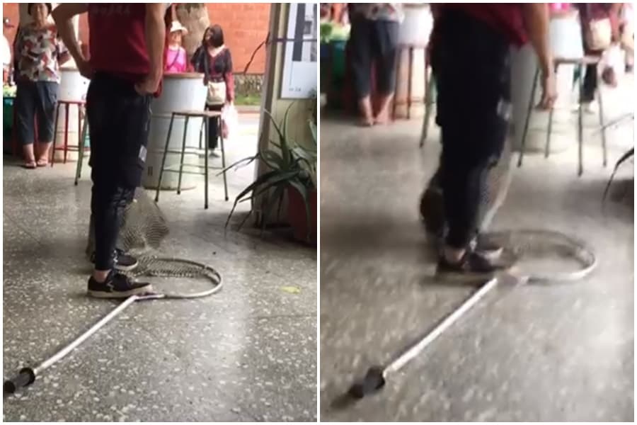 婦人報警處理，動保處隨後派人抓狗，大黑狗不斷掙扎。（翻攝自臉書台灣動保社團）