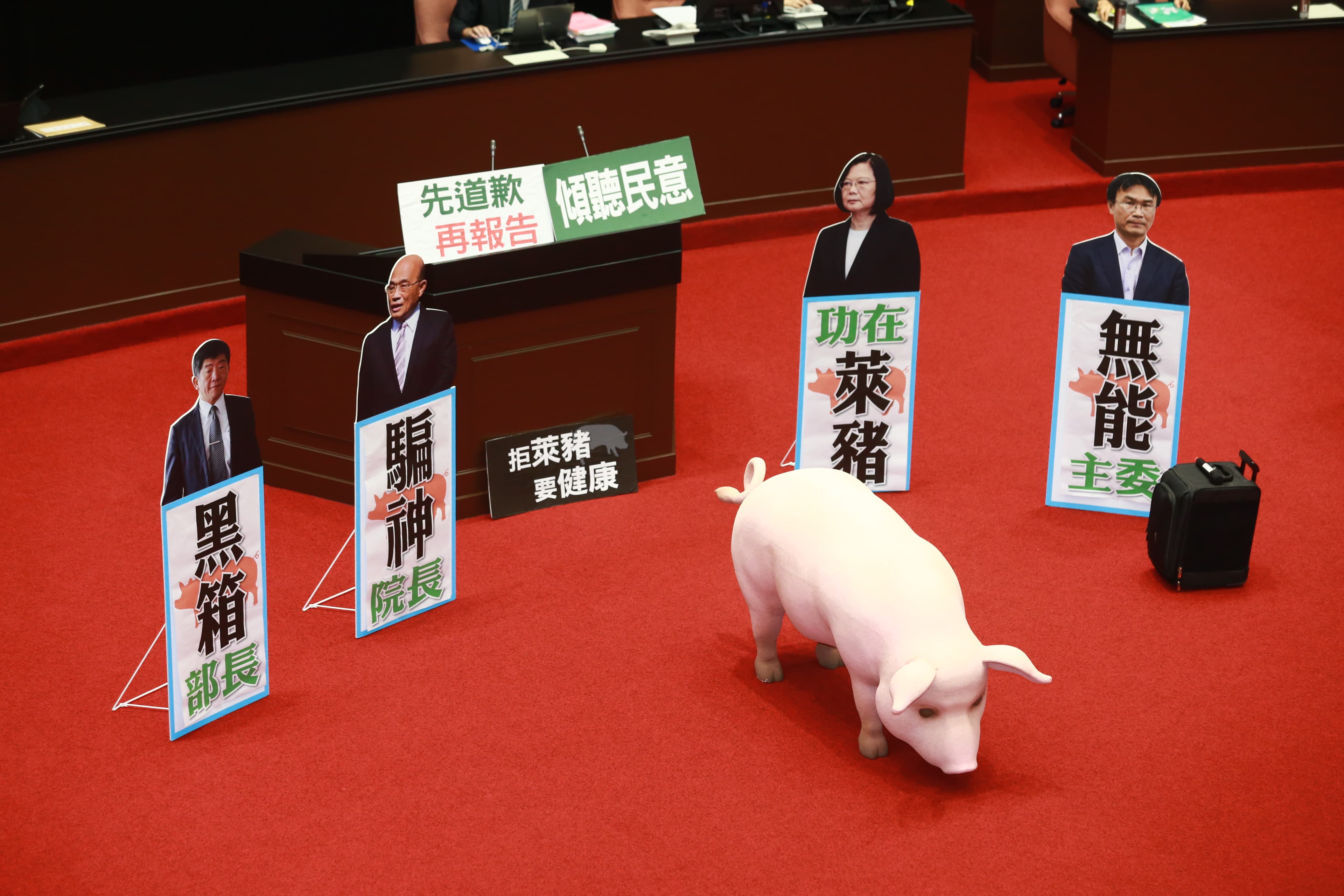 國民黨今日再度占領議場,並搬出豬模型。