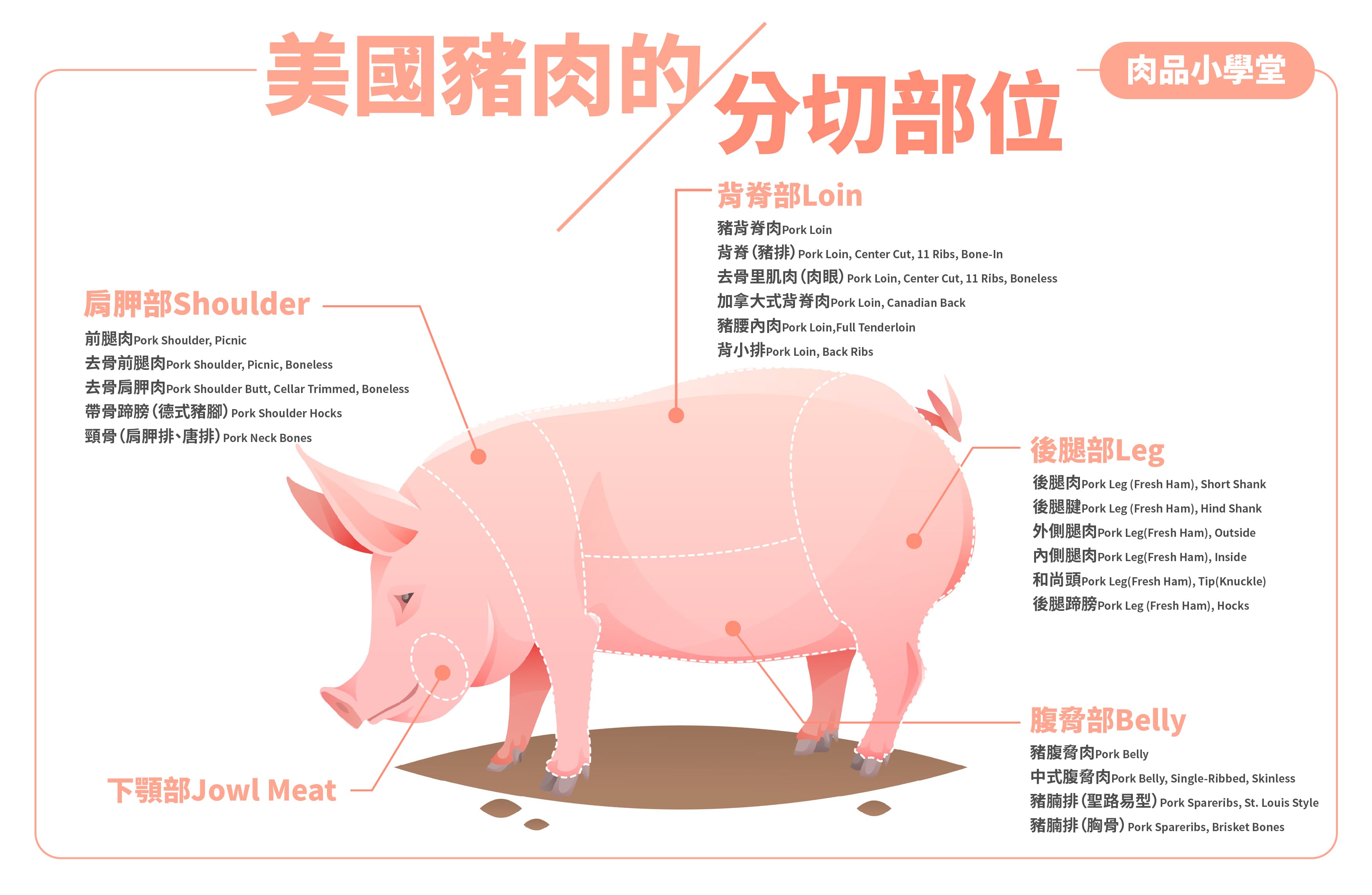 美國豬肉可以分切的部位多元、烹煮運用廣泛。