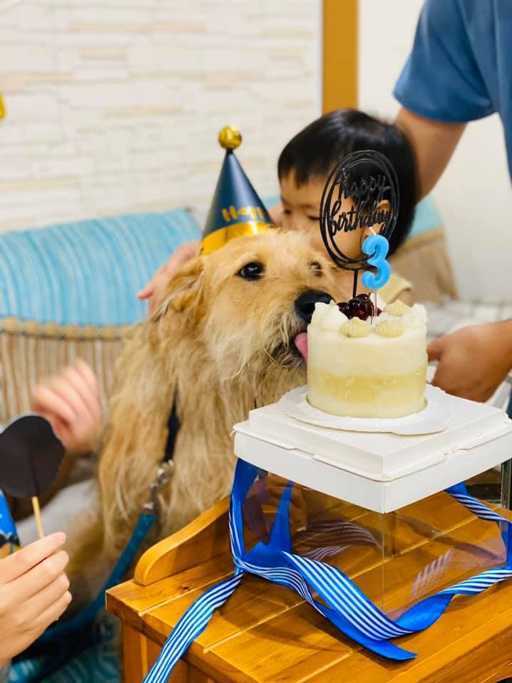 「熊爸」領養的「熊三」3歲了!「小孩長很快,大人也老很快,只有熊三看起來不會老。看到小孩跟狗狗,是最開心的事。」(翻攝自熊爸臉書)