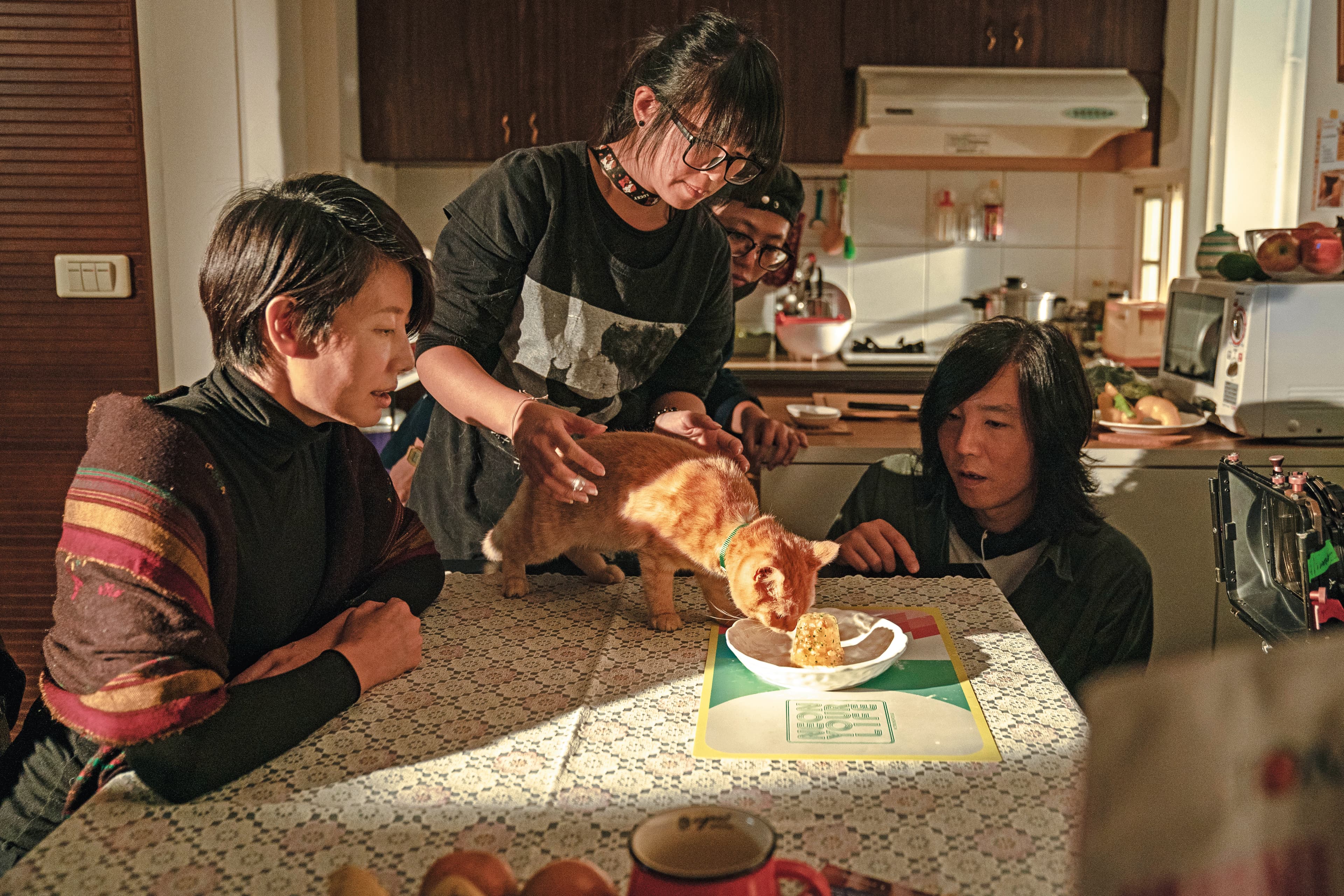 貓的行為難掌控、容易受驚嚇,導演陳保中(右)大多選在室內拍攝。(酷斯本提供)