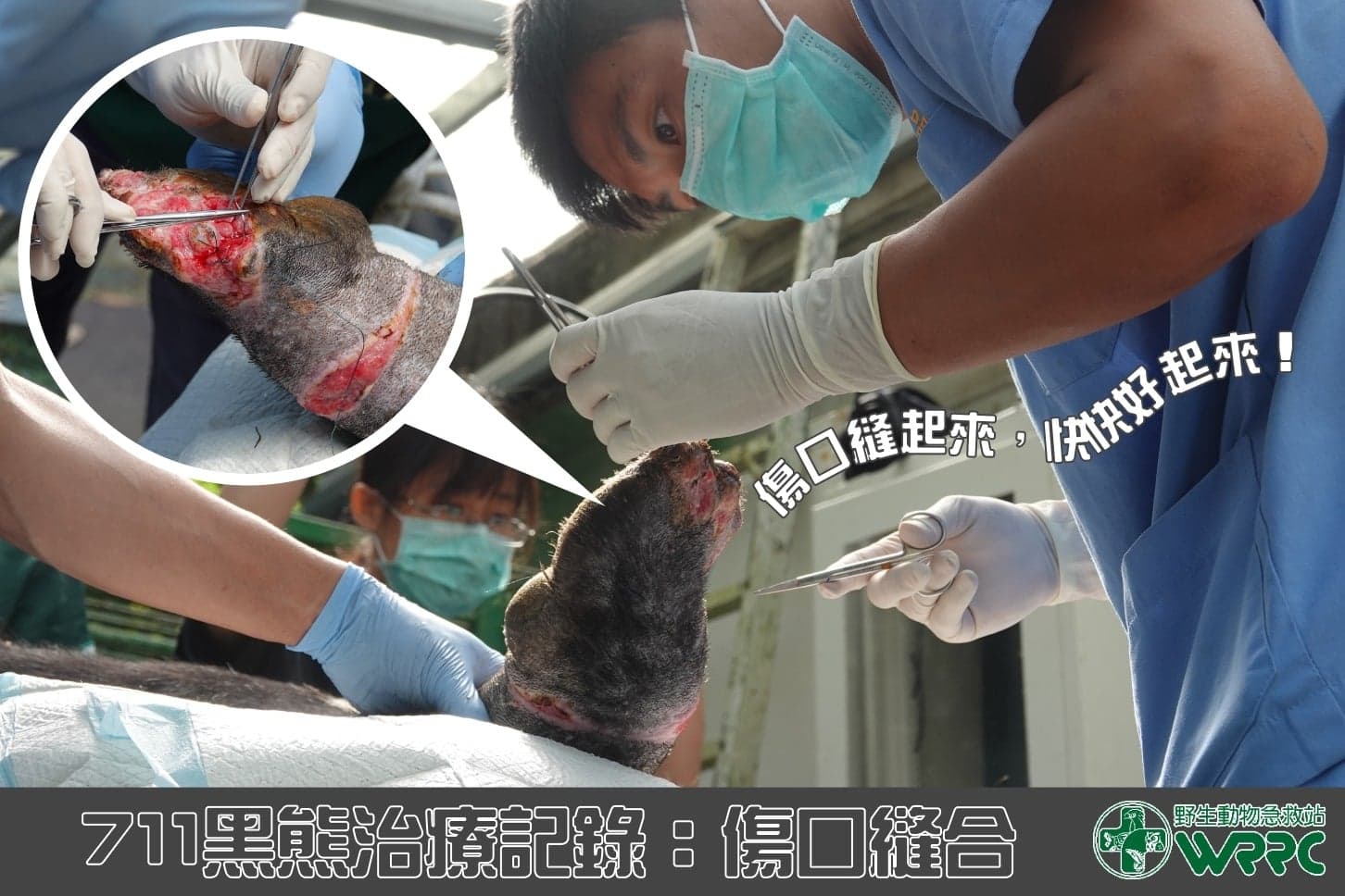 醫療人員幫小7縫合傷口。(翻攝自野生動物急救站臉書)