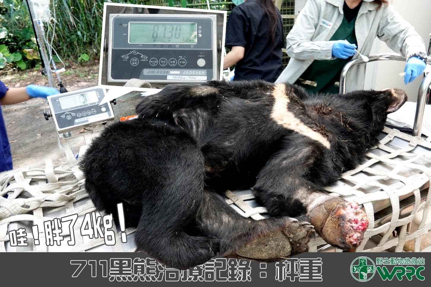 小7體檢秤重胖了4公斤。(翻攝自野生動物急救站臉書)