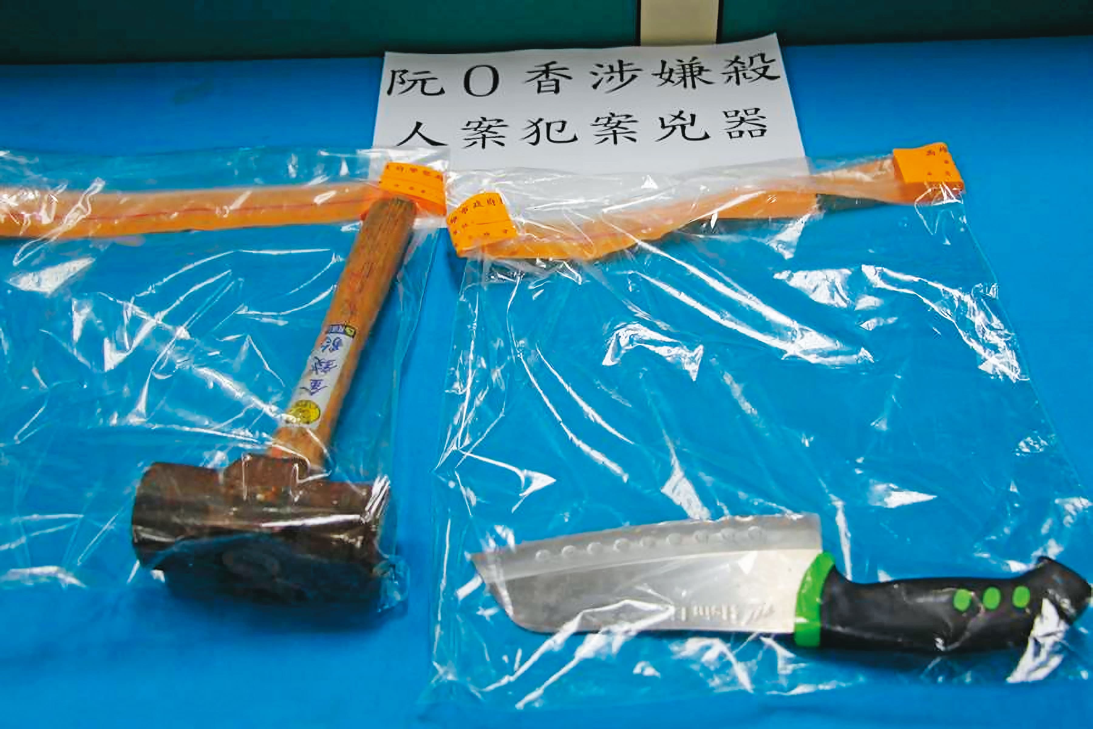 警方逮捕阮氏香後,搜出行凶的鐵鎚及分屍用的剁骨刀。(翻攝畫面)