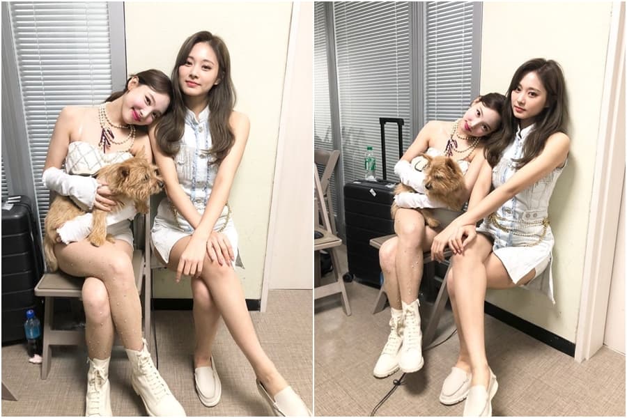 子瑜「坐」上透明椅子,成功騙過許多粉絲。(翻攝自TWICE IG)
