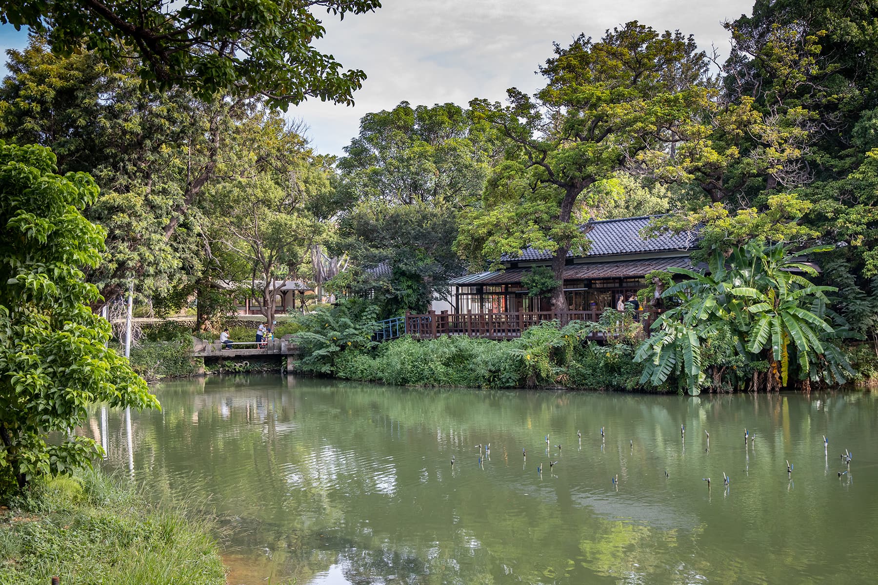 在湖畔料亭可以一邊品嘗美食，一邊欣賞風景，相當悠閒。