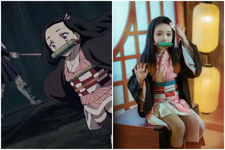 豬小糖可愛模樣,宛如動漫上縮小禰豆子的真人版。(翻攝自網路/唐无邪i微博)