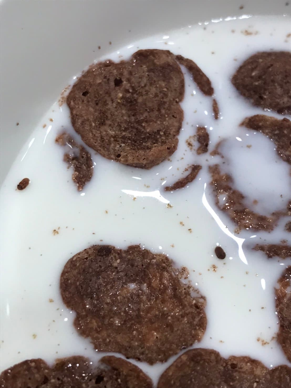 Y女用牛奶泡雀巢早餐脆片,赫然發現煙甲蟲。(讀者提供)