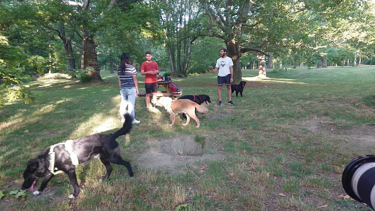 Raye赴奧地利拍攝當地動物收容中心,也參考當地如何將動保觀念融入國民教育。(Raye提供)