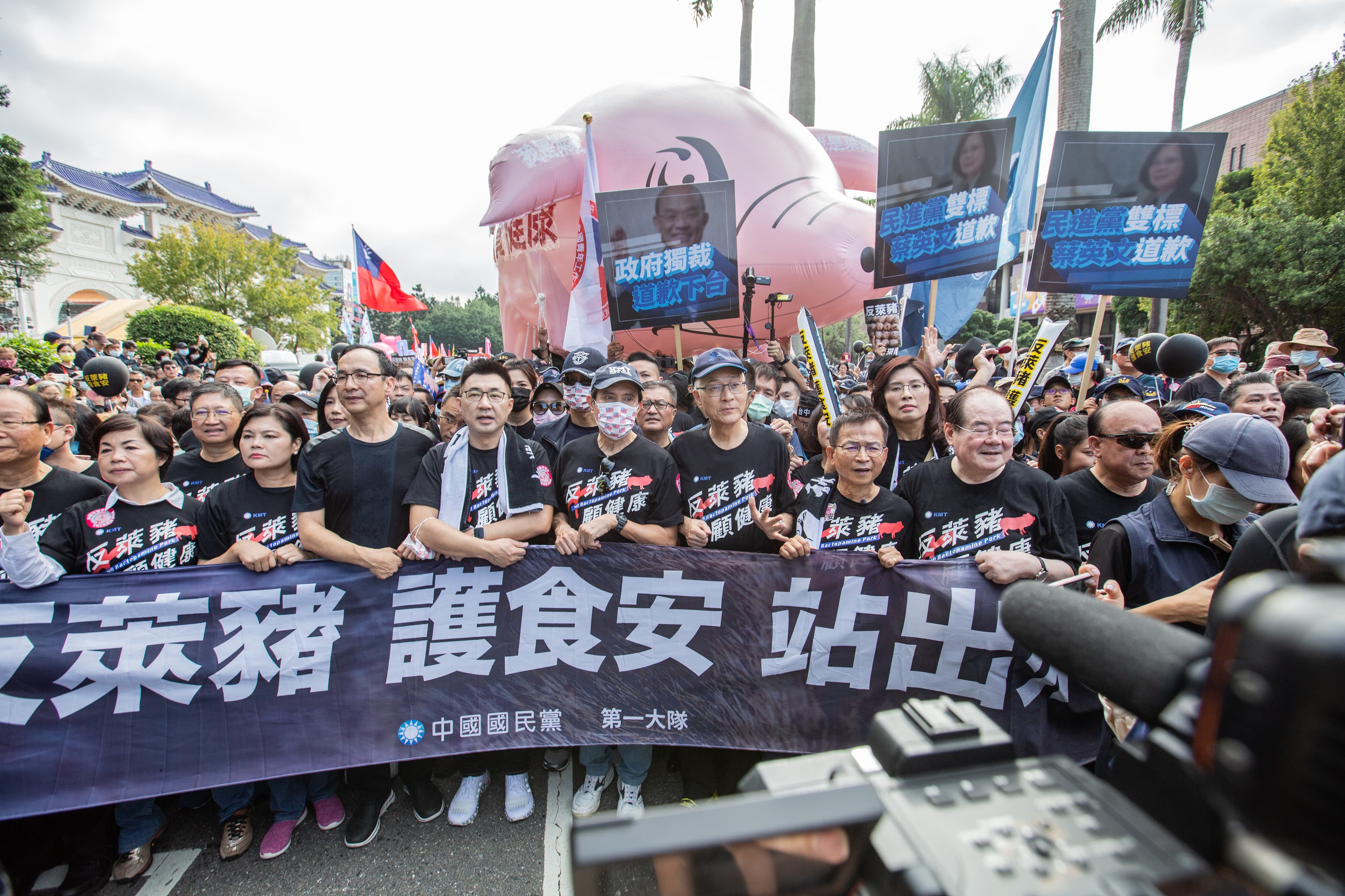 國民黨日前組團首度參加秋鬥，痛批萊豬政策。