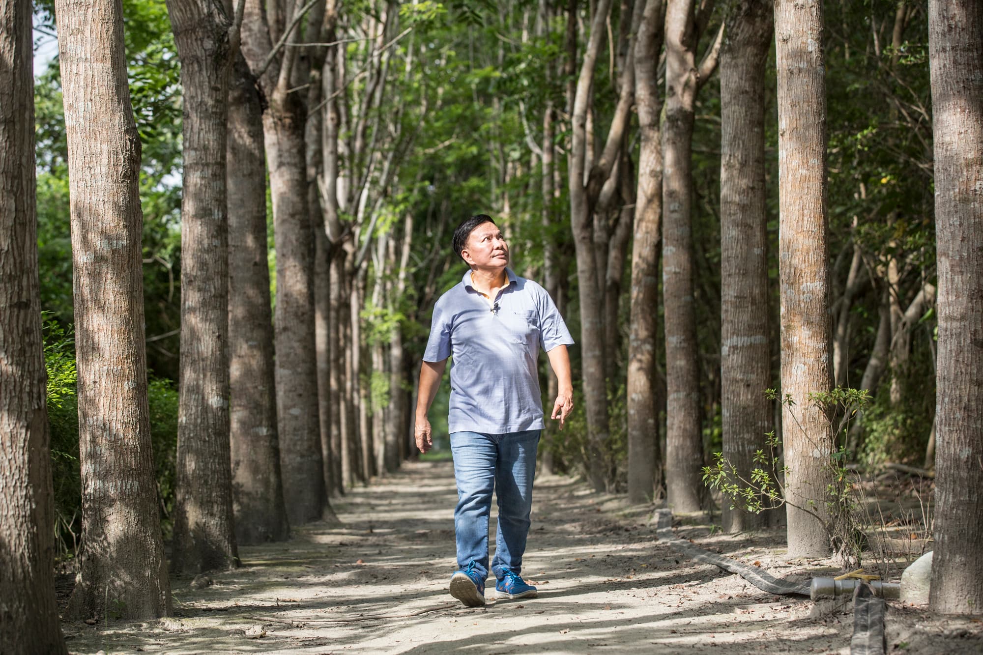 喜好園藝的鄭越才，在渡假村裡種了各式各樣的樹木、設置森林步道，讓住客可以更貼近大自然。