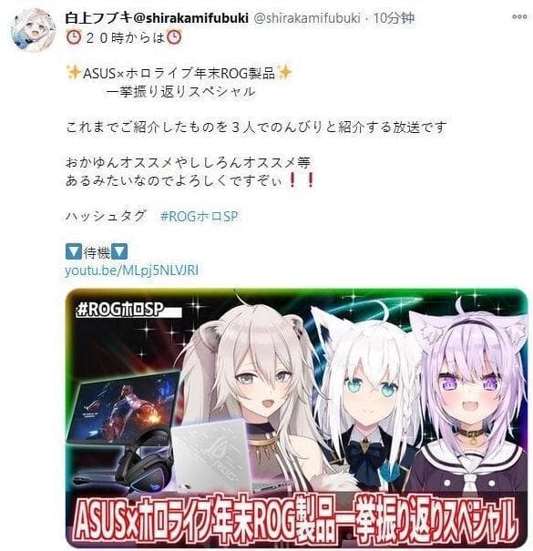 Hololive Vtuber白上吹雪17日於推特公告直播取消。(翻攝推特)