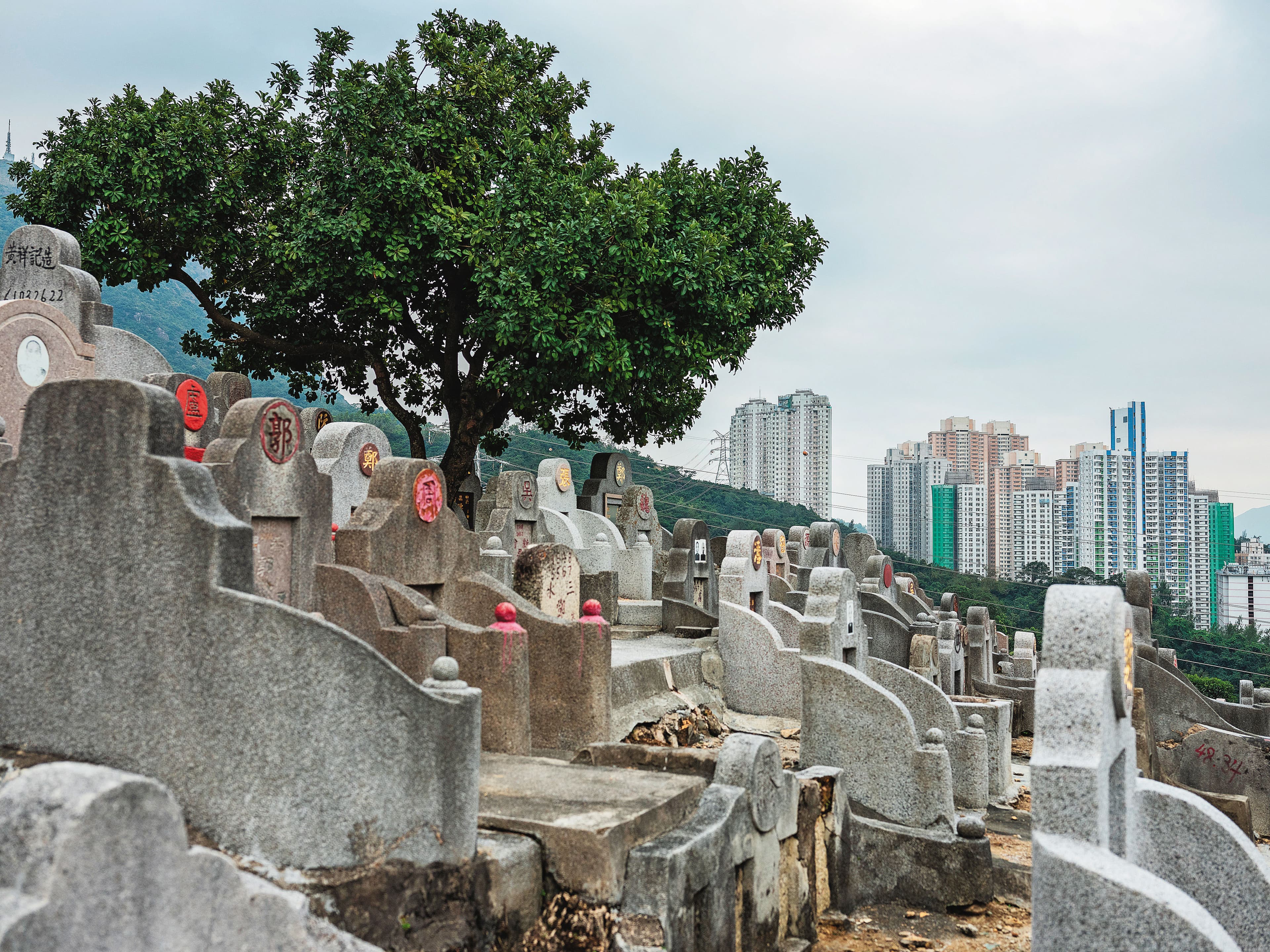 今年清明節、重陽節,阿絲依約為流亡女孩的母親上墳。圖為一處香港墓園。