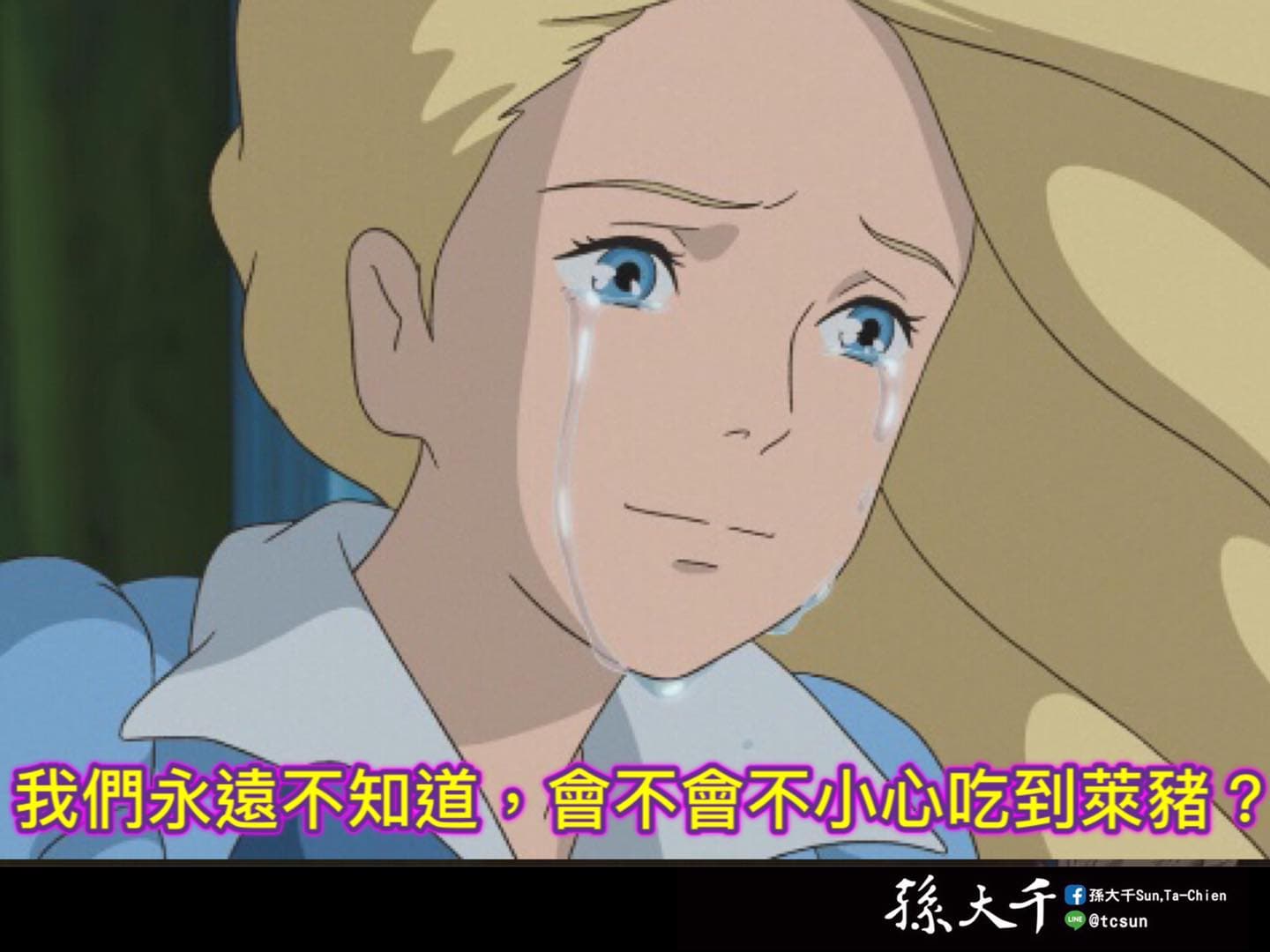 國民黨前立委孫大千在臉書評論新北市燒臘店漲價一事,認為業者「把民進黨的臉打得又紅又腫」。(翻攝自孫大千臉書)