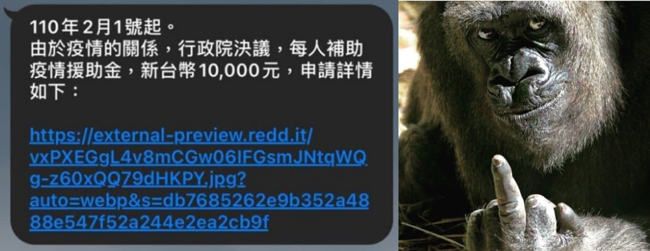 網友點開連結後,發現1頭微笑猩猩對著他比中指。(翻攝自PTT八卦板)