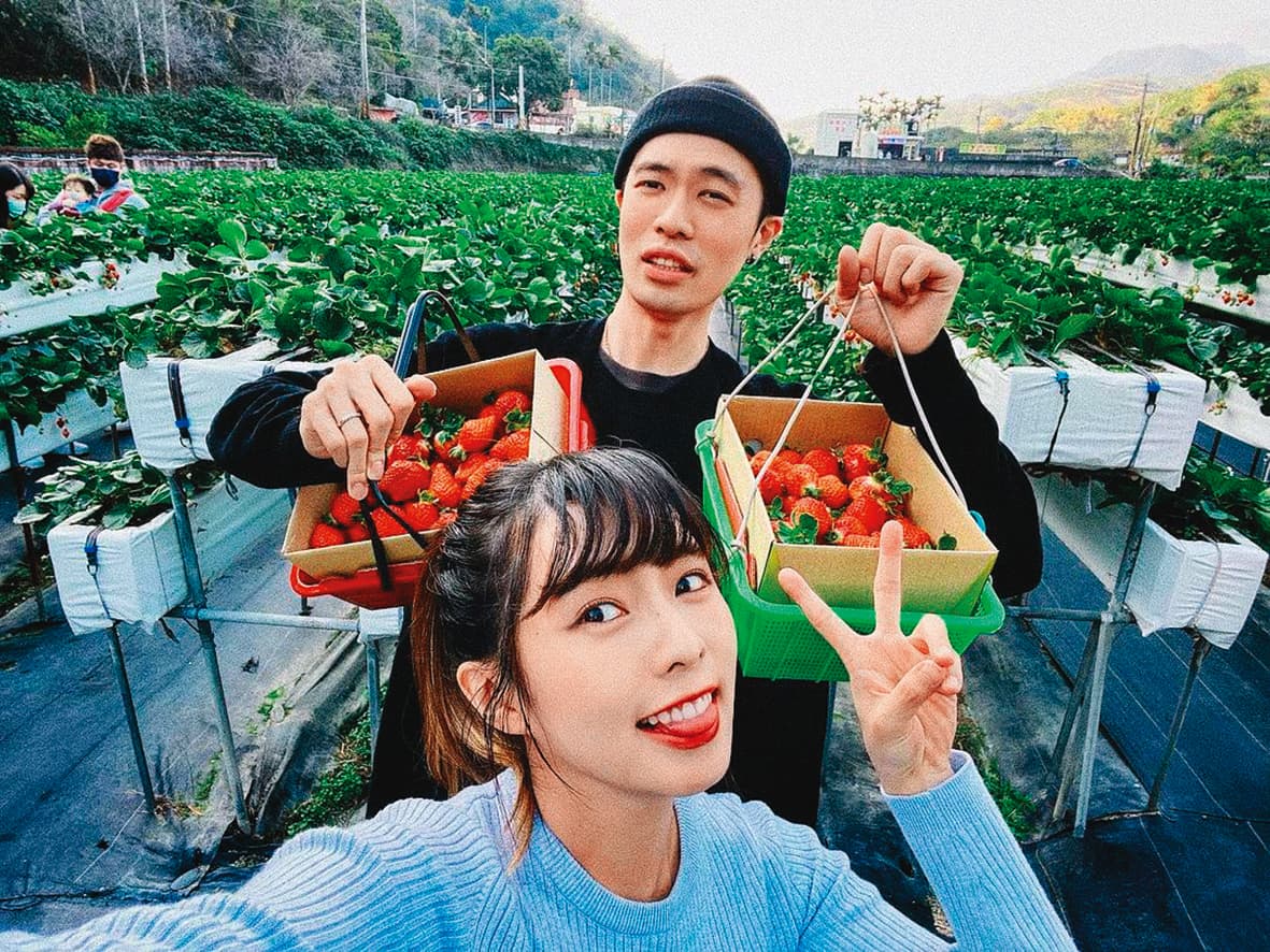 雖然有7月孕肚在身,簡廷芮還是到處趴趴走、和老公回中部老家採草莓。(翻攝自簡廷芮IG)