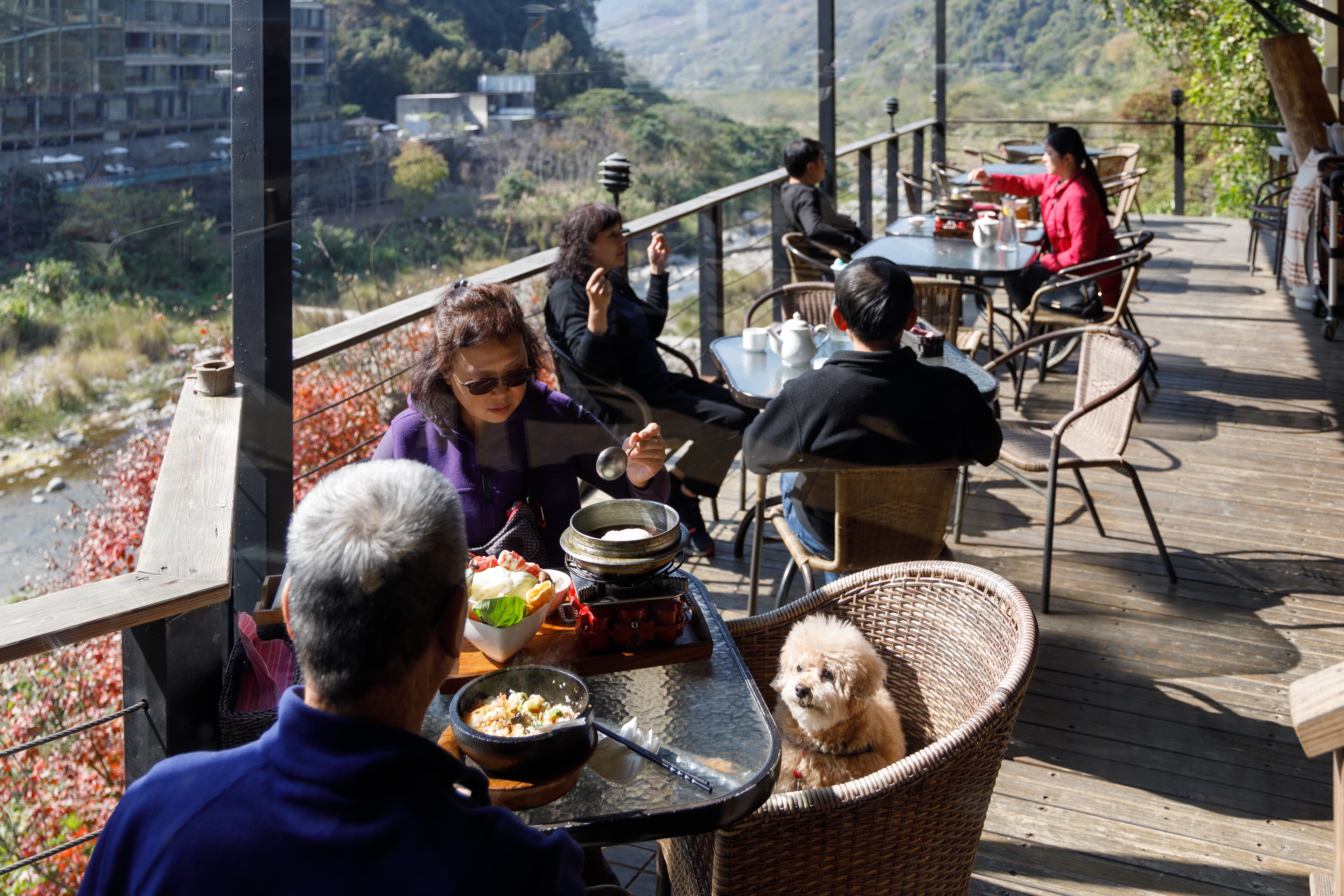 山吻泉為寵物友善餐廳,可以帶著毛小孩入內。