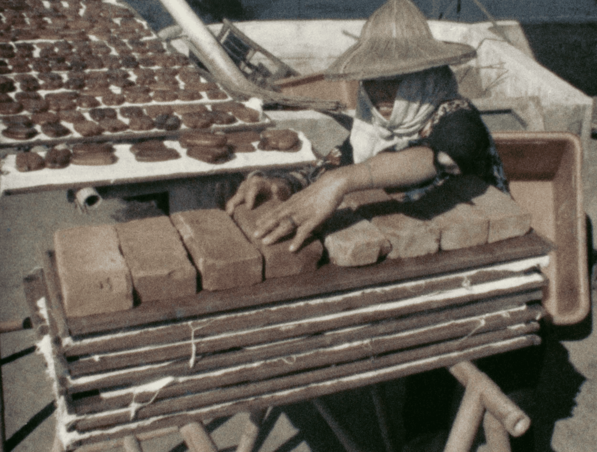 1977年獲金馬獎優等紀錄片獎的《烏魚來的時候》 將於TIDF舉行世界首映。(TIDF提供)