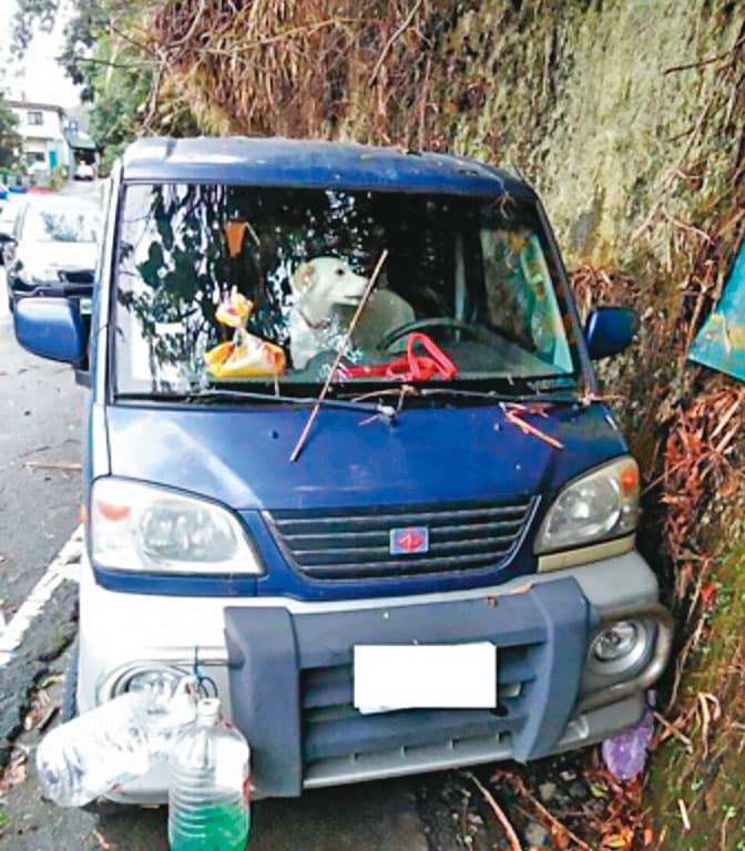 林英昌居無定所,以車為家,還養了一條小白狗排解寂寞。(東森新聞提供)