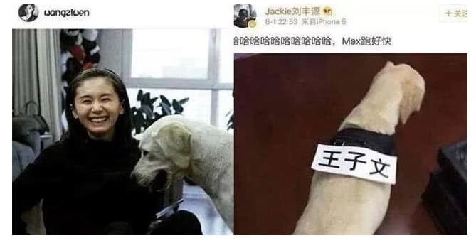 王子文與劉豐源過去曾傳出共同飼養1隻狗。(翻攝自王子文IG、劉豐源微博)