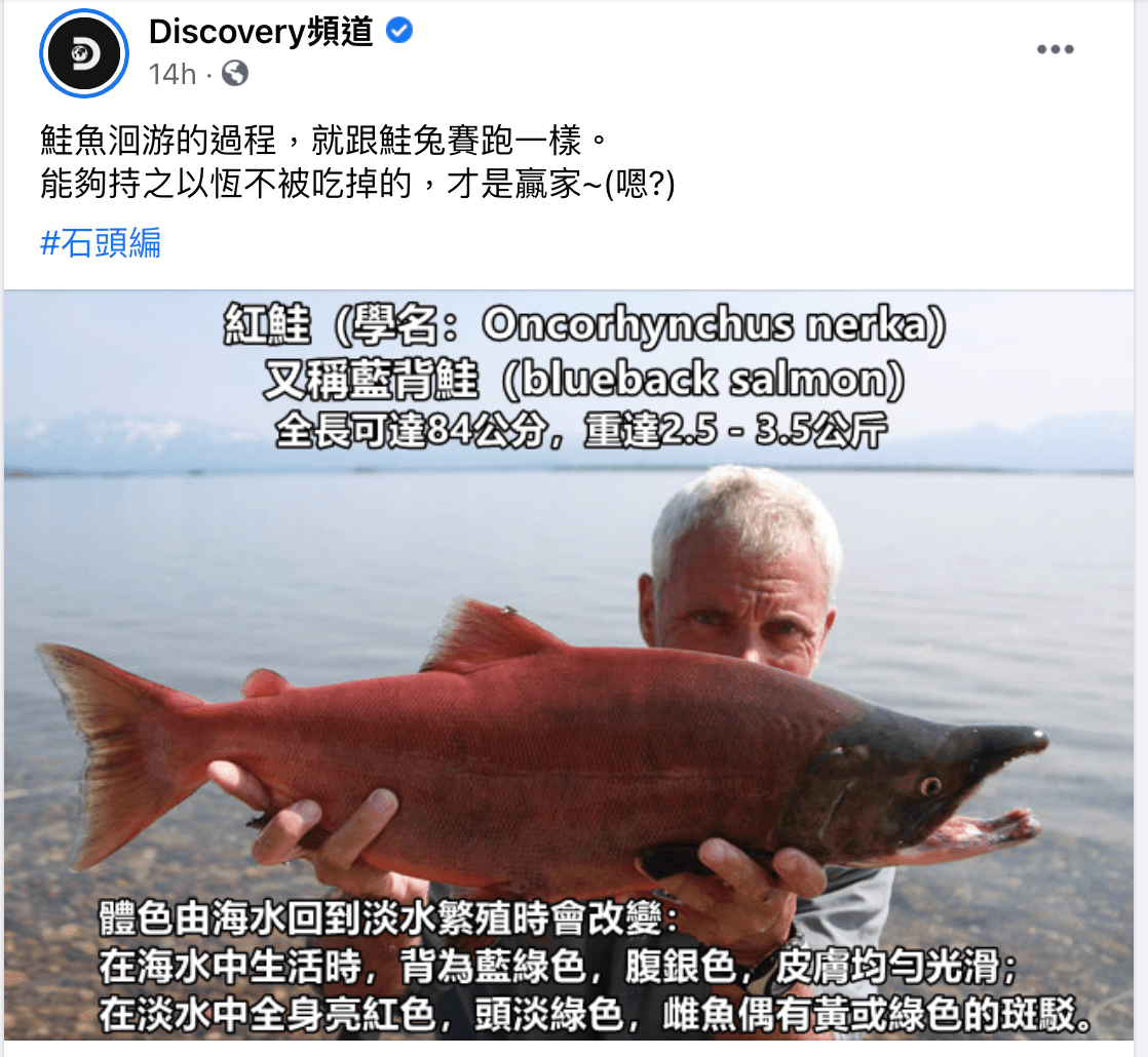 Discovery小編為鮭魚的生存之道下上絕妙註解。(翻攝Discovery頻道臉書)