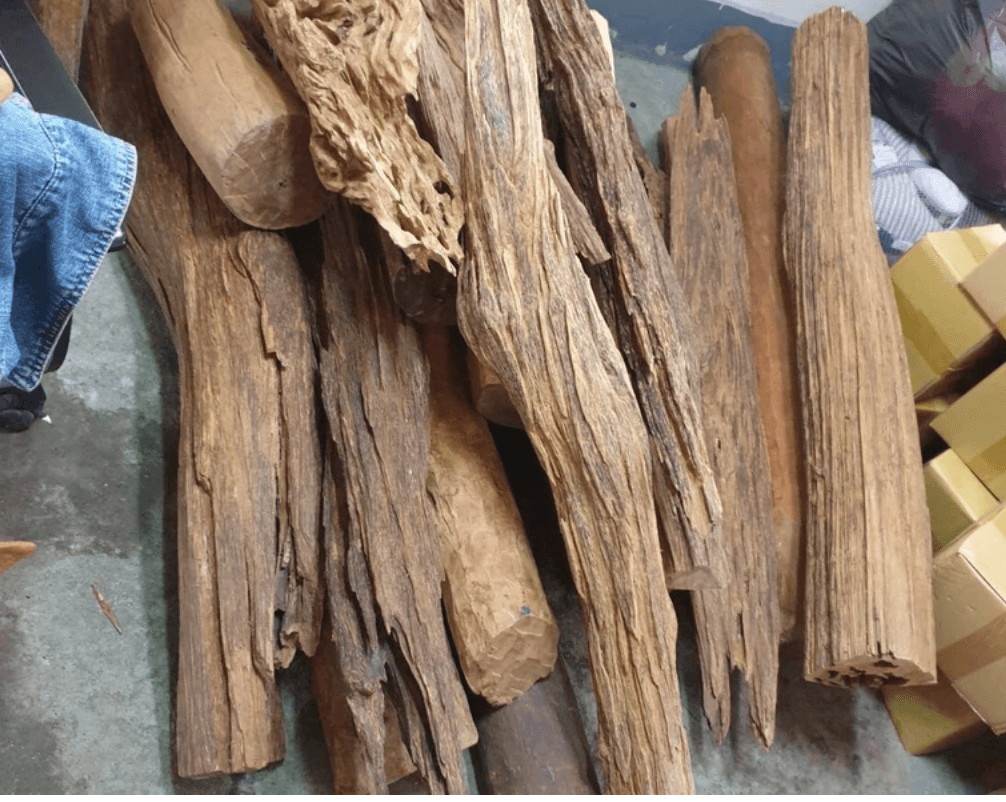 竊賊搬走珍貴的沉香木。（翻攝畫面）