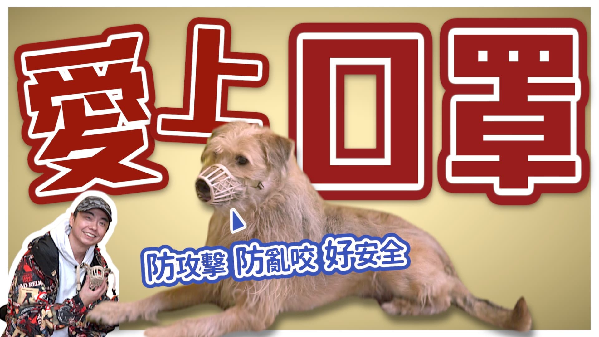 本集的〈熊爸估狗〉影片,教大家如何幫狗狗戴上口罩?口罩該怎麼選?何時才是最佳戴口罩的時機?(本刊資料室)