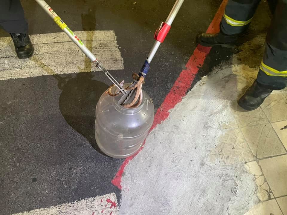 消防人員成功夾出毒蛇後,竟發現是台灣六大毒蛇龜殼花。(翻攝臉書「我是東湖人」)