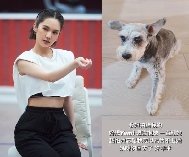 楊丞琳是中國大陸選秀節目《乘風破浪的姐姐2》成團的熱門人選,但她日前分享愛犬的貼文,卻疑似洩漏她將回台的消息。(翻攝自《乘風破浪的姐姐2》微博、楊丞琳IG)