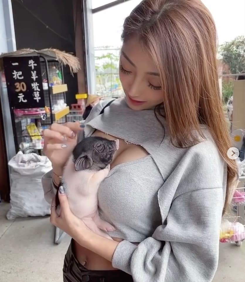 蘿拉將小乳豬放在自己的胸前。 (JKF提供)
