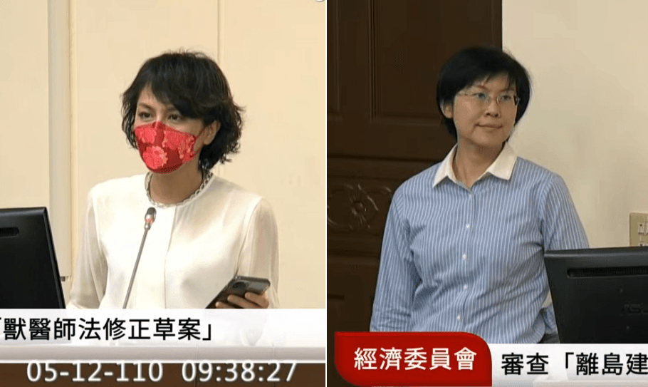 林岱樺(右)質詢未戴口罩,與同黨立委邱議瑩(左)當場對槓。(翻攝國會頻道YouTube)