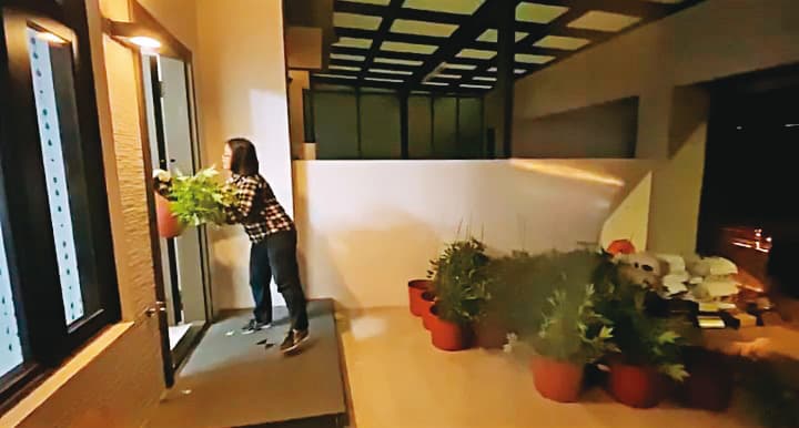 葉姓毒梟等人承租33棟豪宅充當大麻農場,並自行架設溫控、灑水及燈照設備,收成後再銷往北部夜店。(翻攝畫面)