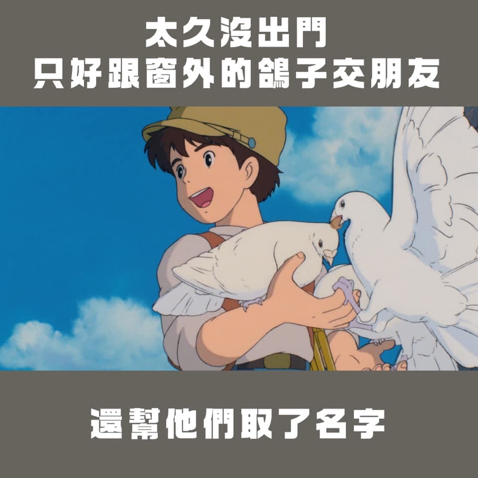 太久沒出門只好跟鴿子交朋友。(翻攝自台灣青年民主協會臉書)