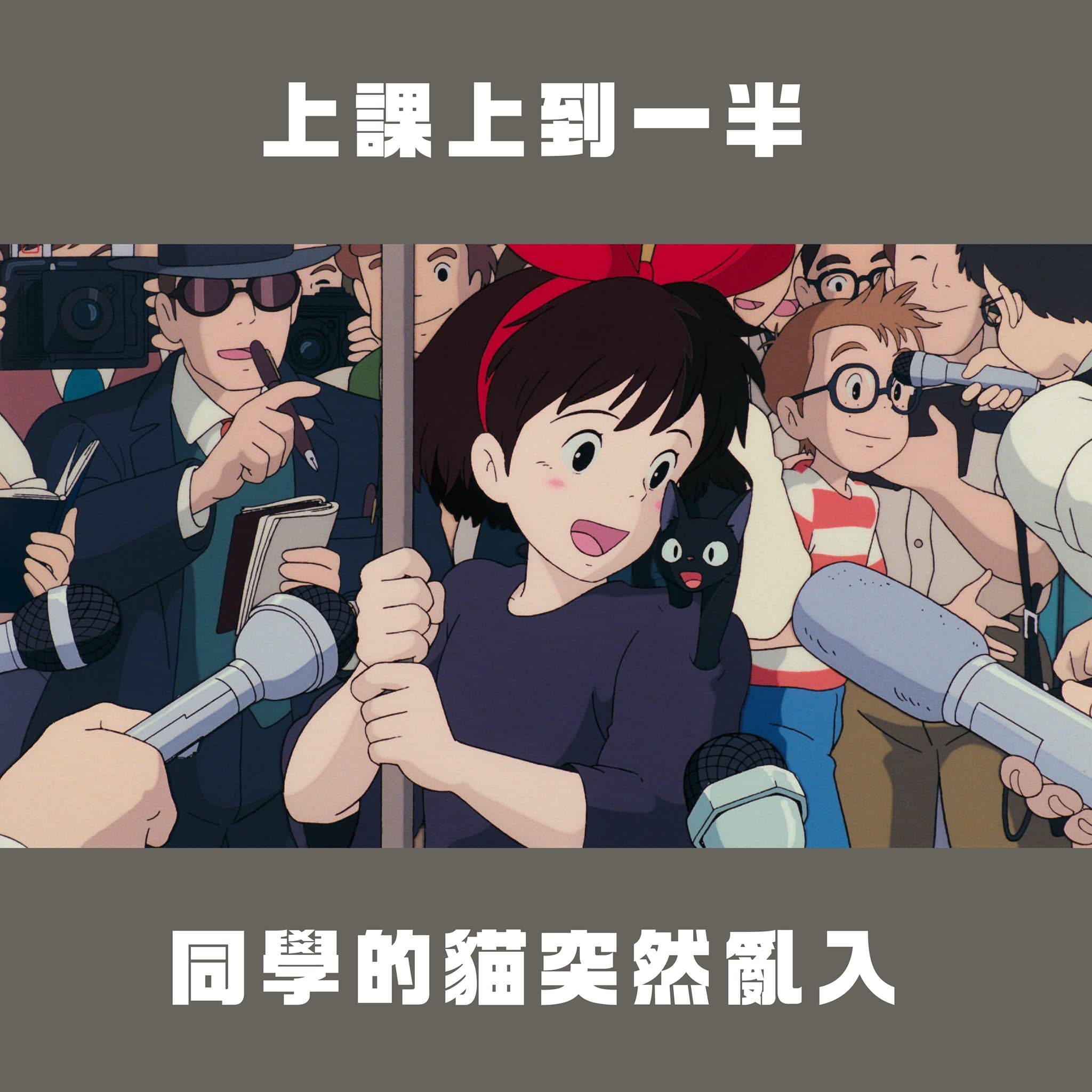 不只阿嬤亂入,貓貓也會亂入。(翻攝自台灣青年民主協會臉書)
