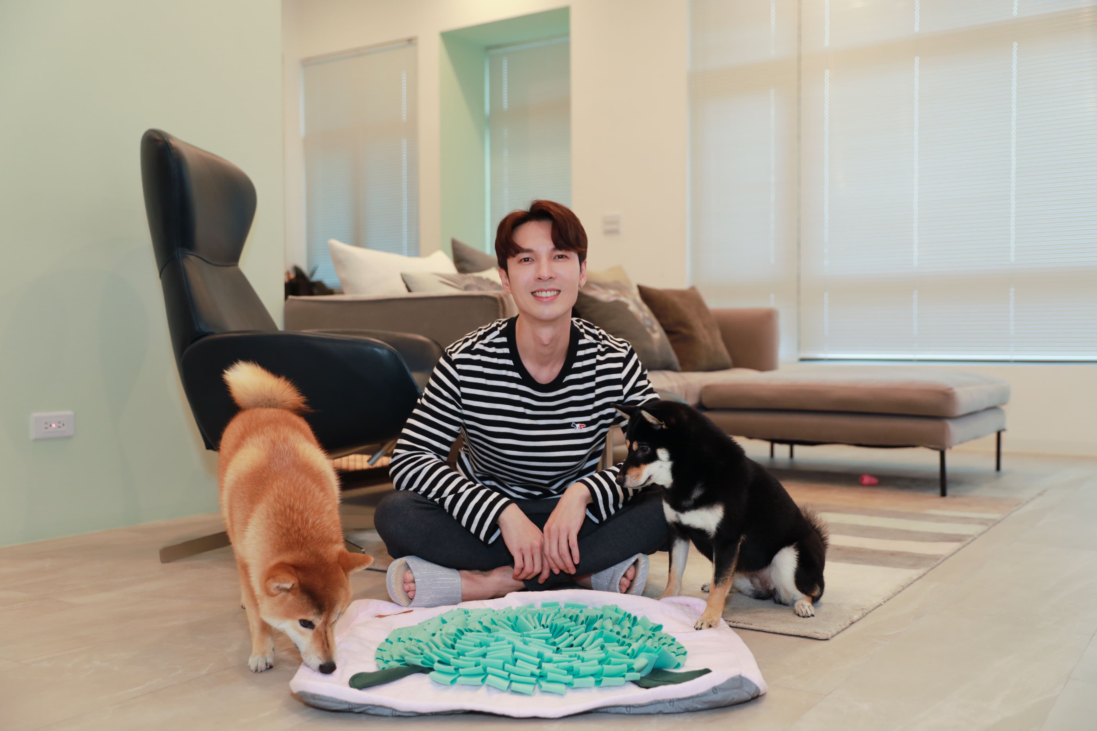 陳勢安運用「嗅聞墊」將愛犬愛吃的零食藏起來，讓牠們在家中玩尋寶遊戲。