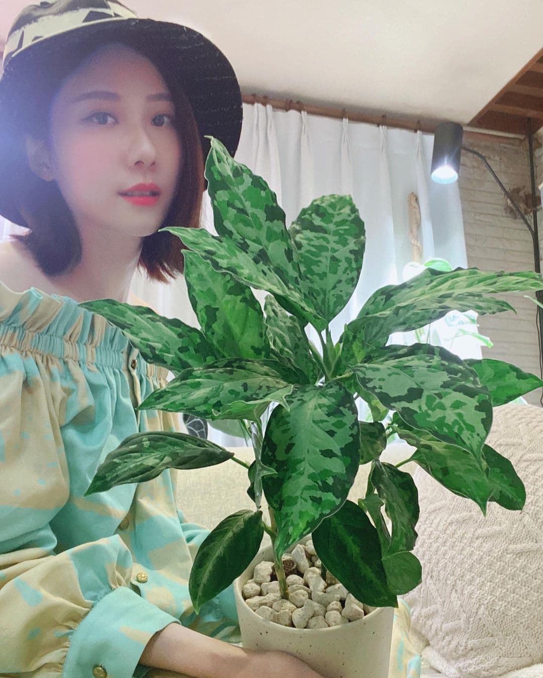 張景嵐迷上植栽,在家中養了花花草草,當她在線上時裝秀展示珍貴的斑葉龜背芋與迷彩粗樂草時,引起一片讚揚。(翻攝自張景嵐IG)